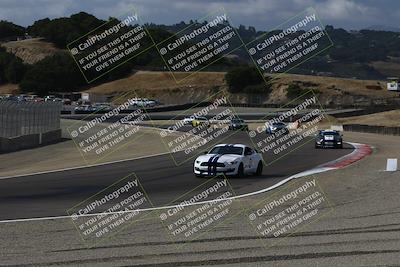 media/Aug-23-2024-Speed Ventures (Fri) [[92f1efc5e7]]/Green/Session 1 (Turn 3)/